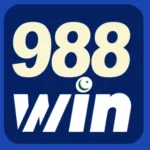 988 WIN